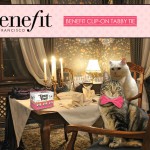 Tabs for the Benefit Clip-on Tabby Tie