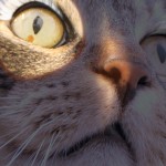 Tabs for MAC Opulash in White Tiger