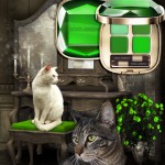 Tabs for the Dolce and Gabbana Emerald Collection