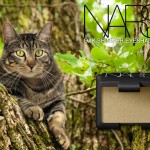 Tabs for NARS Oak Eyeshadow