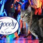 Tabs for Goody Fur Feather Extensions