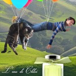 Tabs for L'eau de Chloe