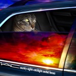 Tabs for MAC Catchlight Contact Lenses