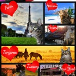 Tabs for NYX 9 Lives & Lips