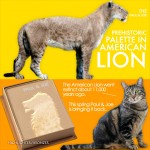 Tabs for the Paul & Joe Prehistoric Palette