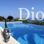 Tabs for Tabby Dior Sunglasses