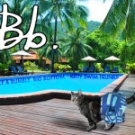 Tabs for Bumble and Bumble Big Bottom Shorts