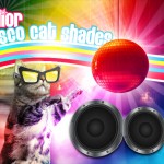 Tabs for the Dior Disco Sunglasses