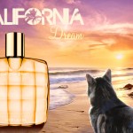 Tabs for the Estee Lauder California Dream Collection