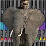 Tabs for Sephora 12HR Cat Eye Liner