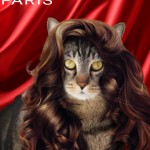 Tabs for L'Oreal Paris Hollywood Hair Shampoo and Conditioner