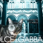 Tabs for the Dolce & Gabbana Cat Monocle