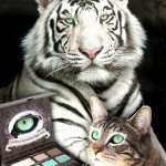 Tabs for Too Faced Sumatran Tiger