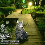 Tabs for Rouge Bunny Rouge Glassy Eyes Contact Lenses