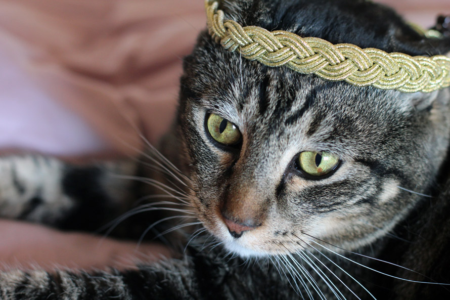 tabs wearing the sephora metallic braided headband