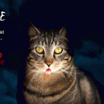 Tabs for the Tarte Vampire Cat Lip Tint in Type O Negative