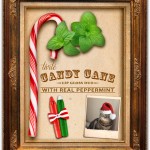 Tabs for the Tarte Peppermint Candy Cane Lip Gloss Duo