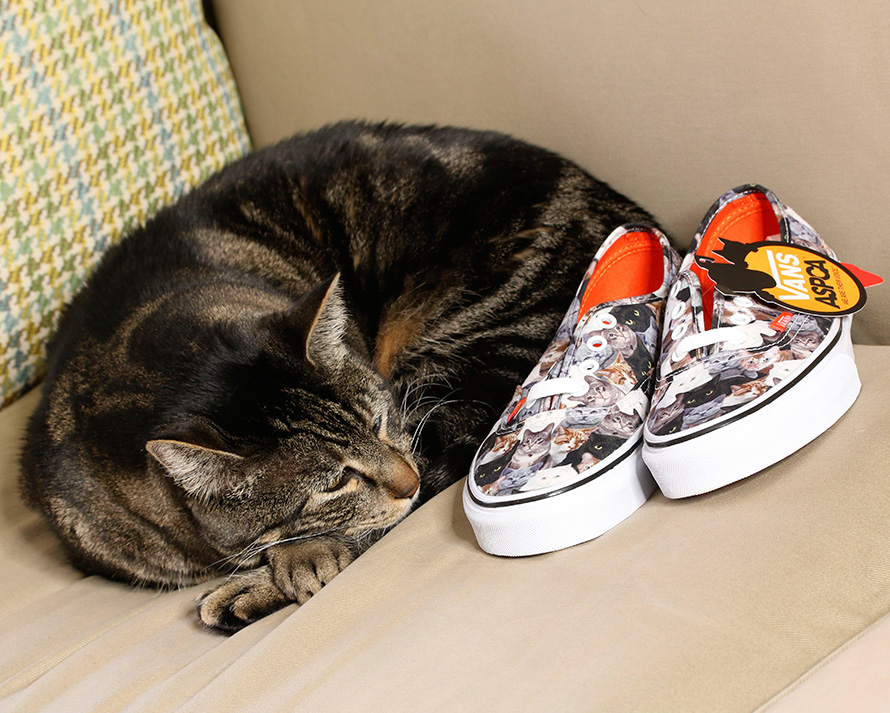 VANS Cat Shoes