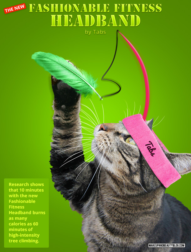 Tabs the Cat for the Fashionable Fitness Headband