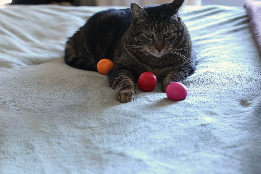 eos + Rachel Roy (1)