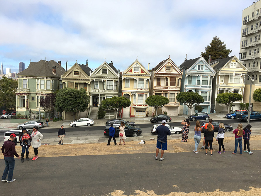 painted ladies