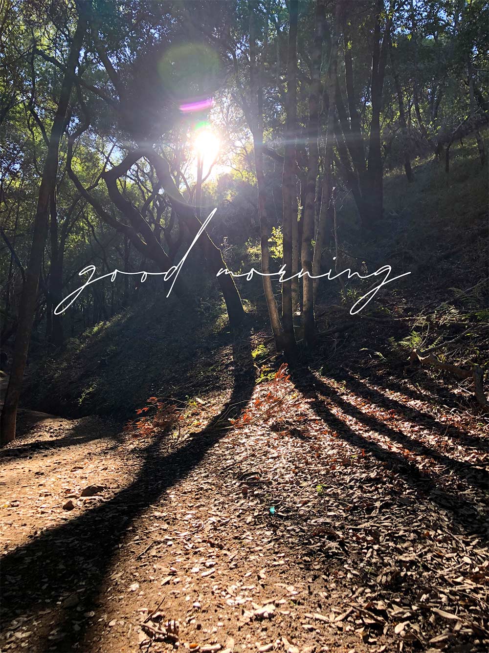 good morning saturday surfing 022220