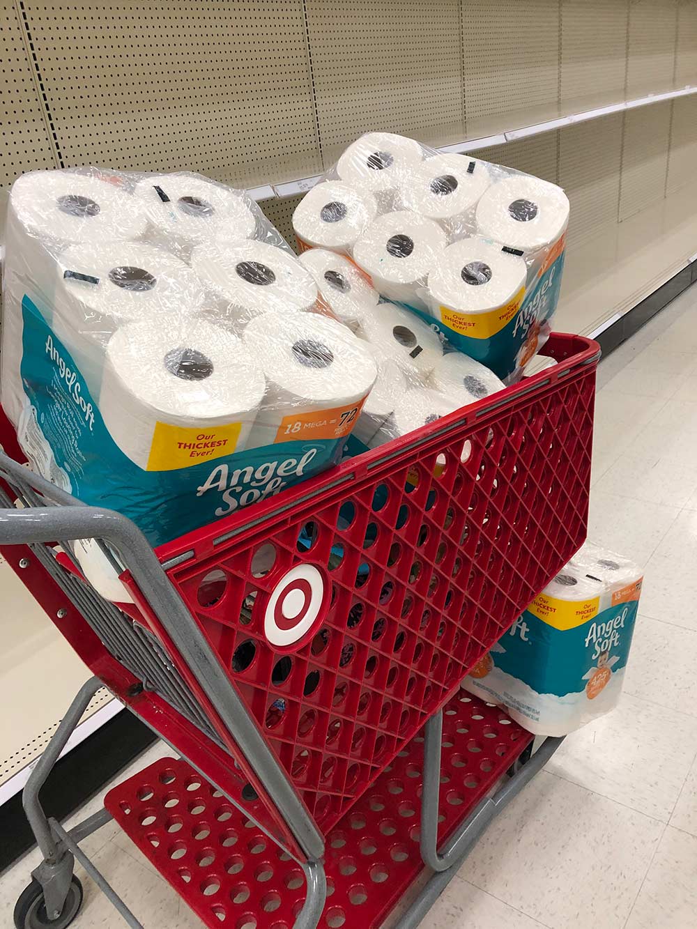 toilet paper target shelter in place