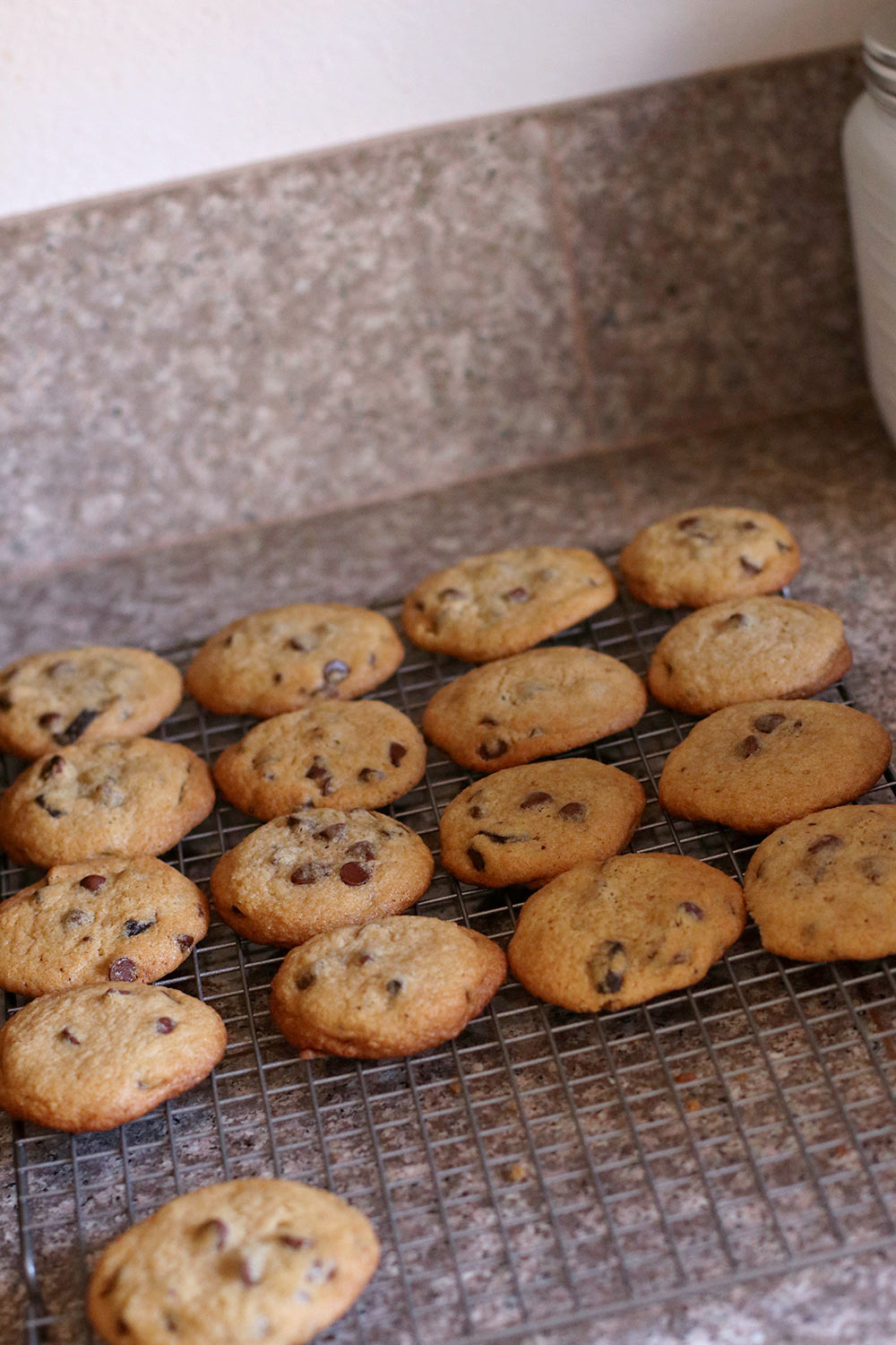 chocolate chip cookies september 2020