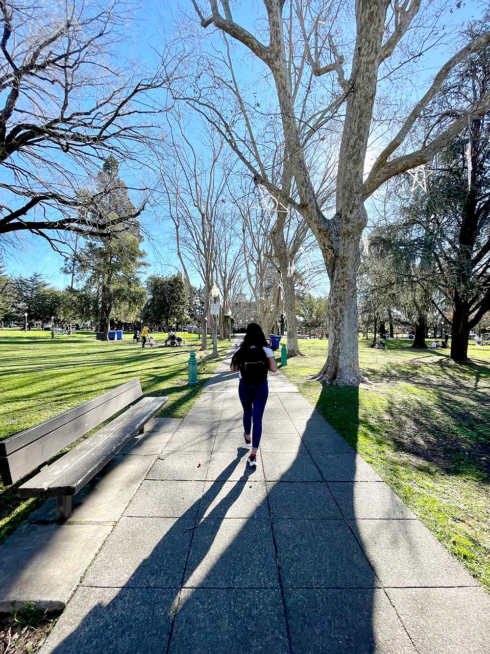 sonoma plaza ka walking