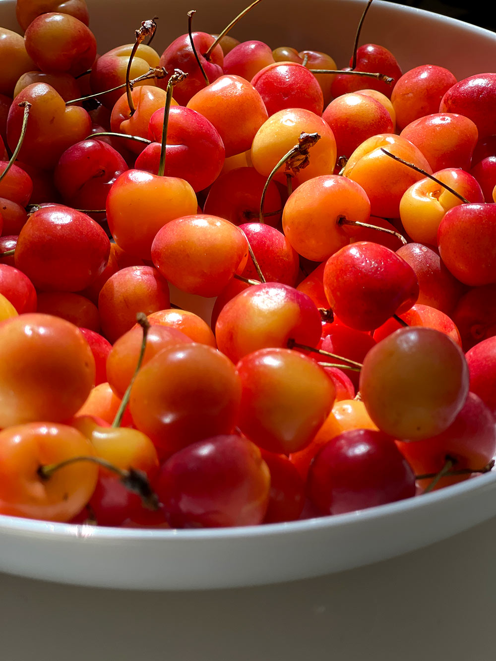 rainier cherries