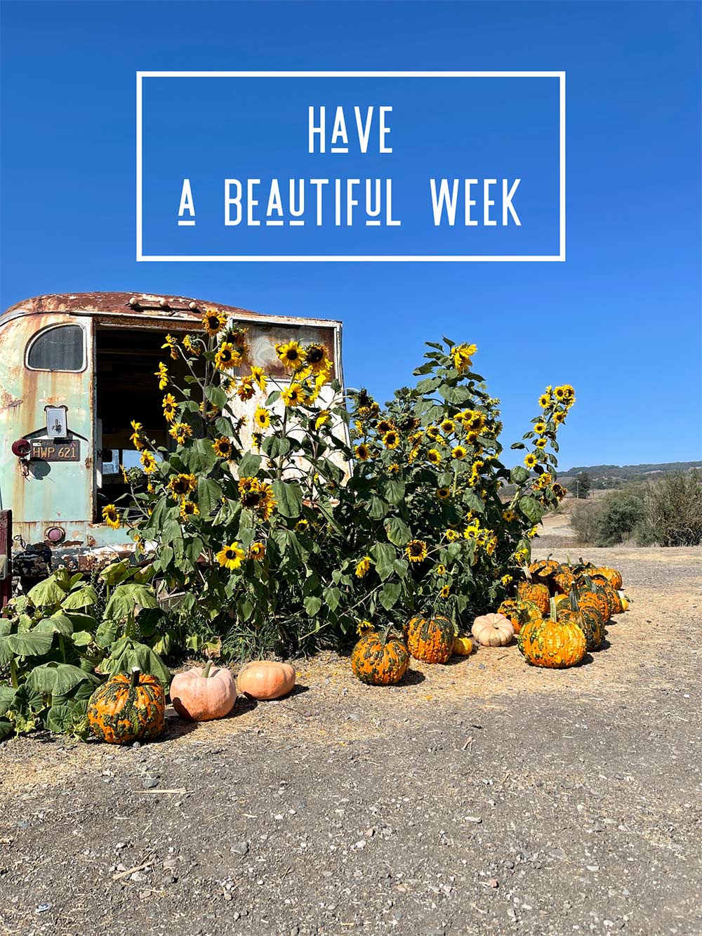 have a beautiful week fall pumpkins sunflowers bus