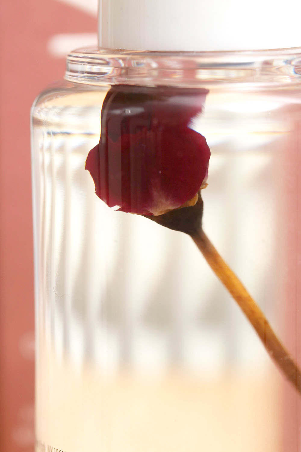 briogio dont depair repair oil